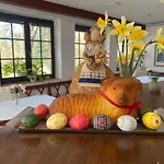 Janata Guest house 3*