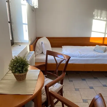 Janata Πανσιόν Slapy (Prague-West)