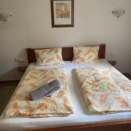 Guest house Janata 3*