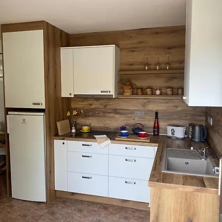 Guest house Janata Slapy (Prague-West)