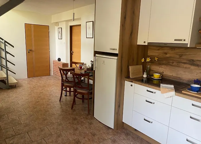 Janata スラピ